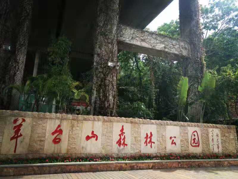 領(lǐng)航集團(tuán)2019年深圳羊臺(tái)山之行