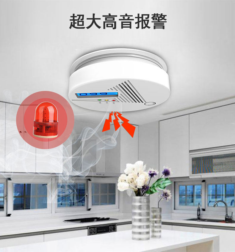一氧化碳安裝以及維護(hù)(圖2)
